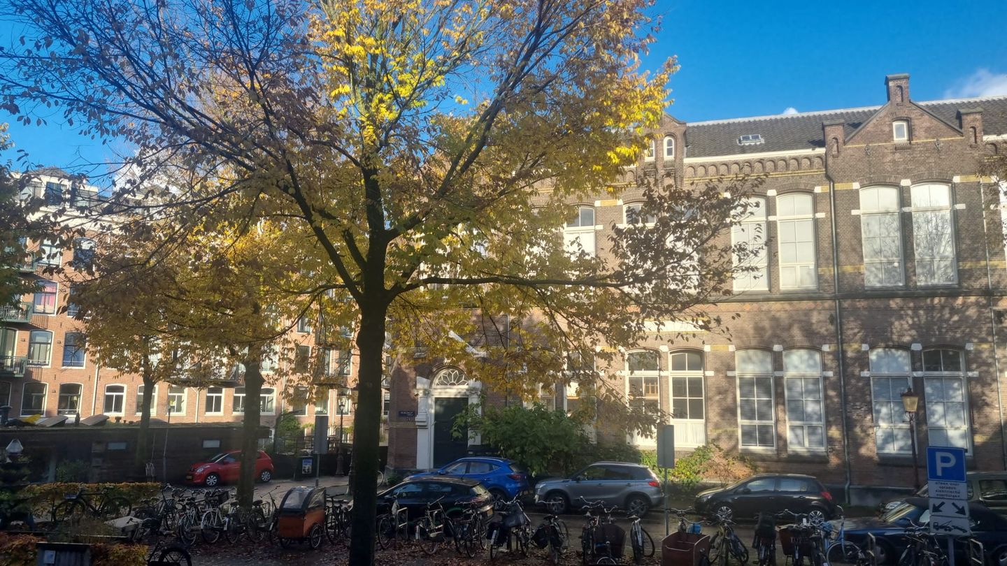 Foto 34 van Palmgracht 79