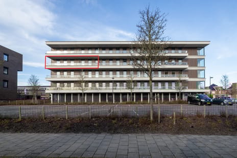 undefined main image