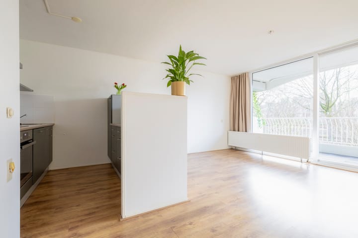 Foto 7 van Hogeweg 15-C