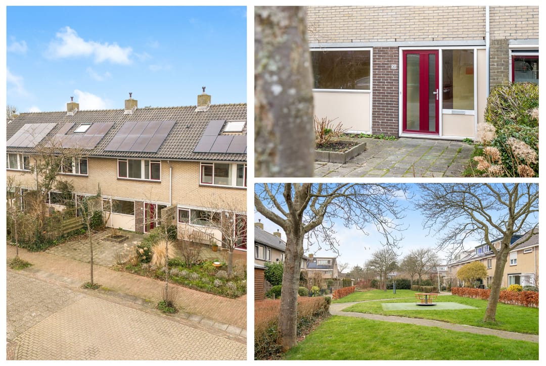 Foto 2 van Ganzerik 20