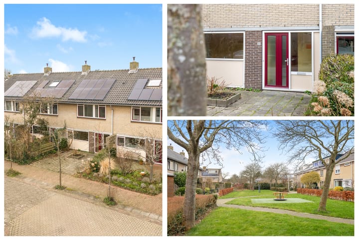 Foto 2 van Ganzerik 20