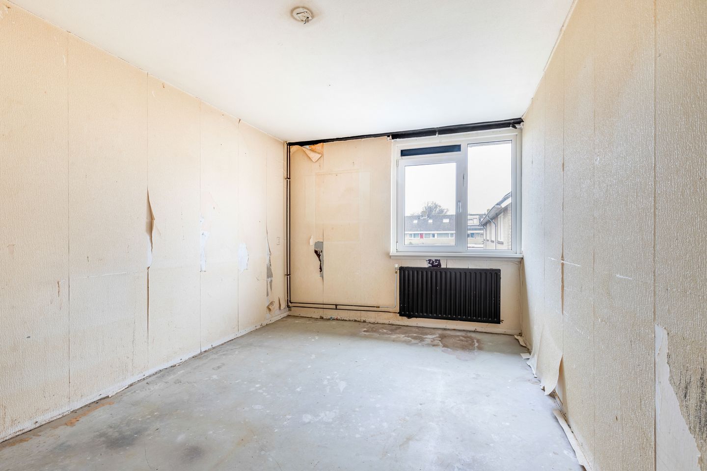 Foto 10 van Ganzerik 20