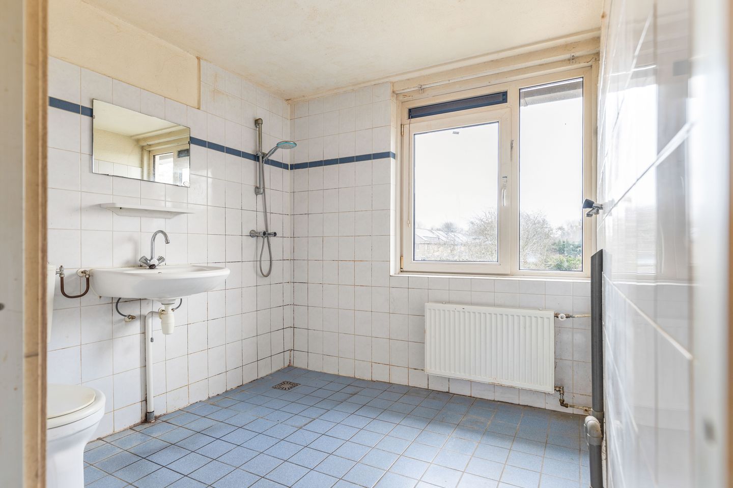 Foto 14 van Ganzerik 20