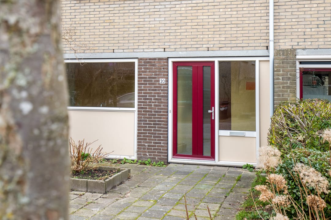 Foto 23 van Ganzerik 20