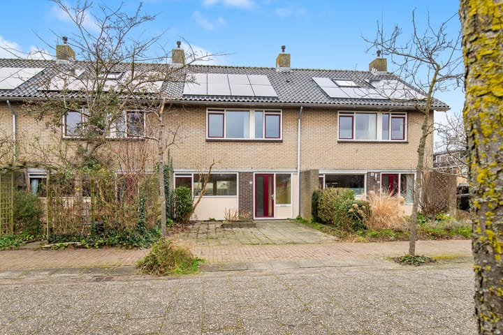 Foto 24 van Ganzerik 20