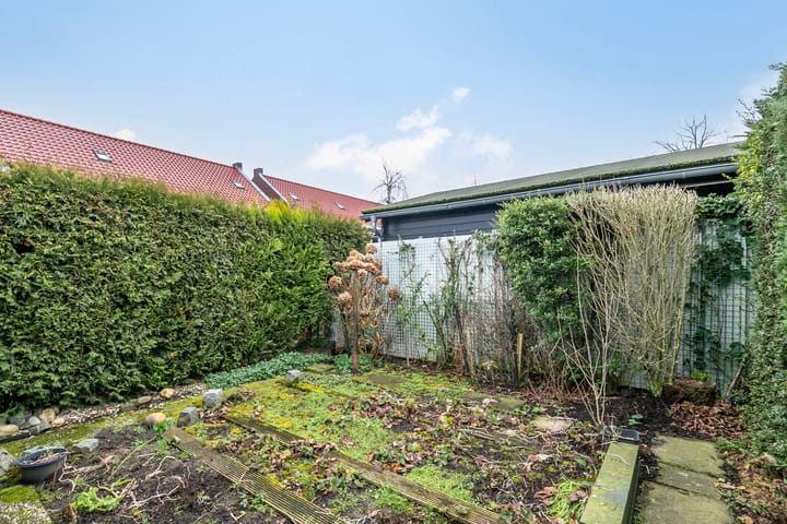 Foto 32 van Willemstraat 169