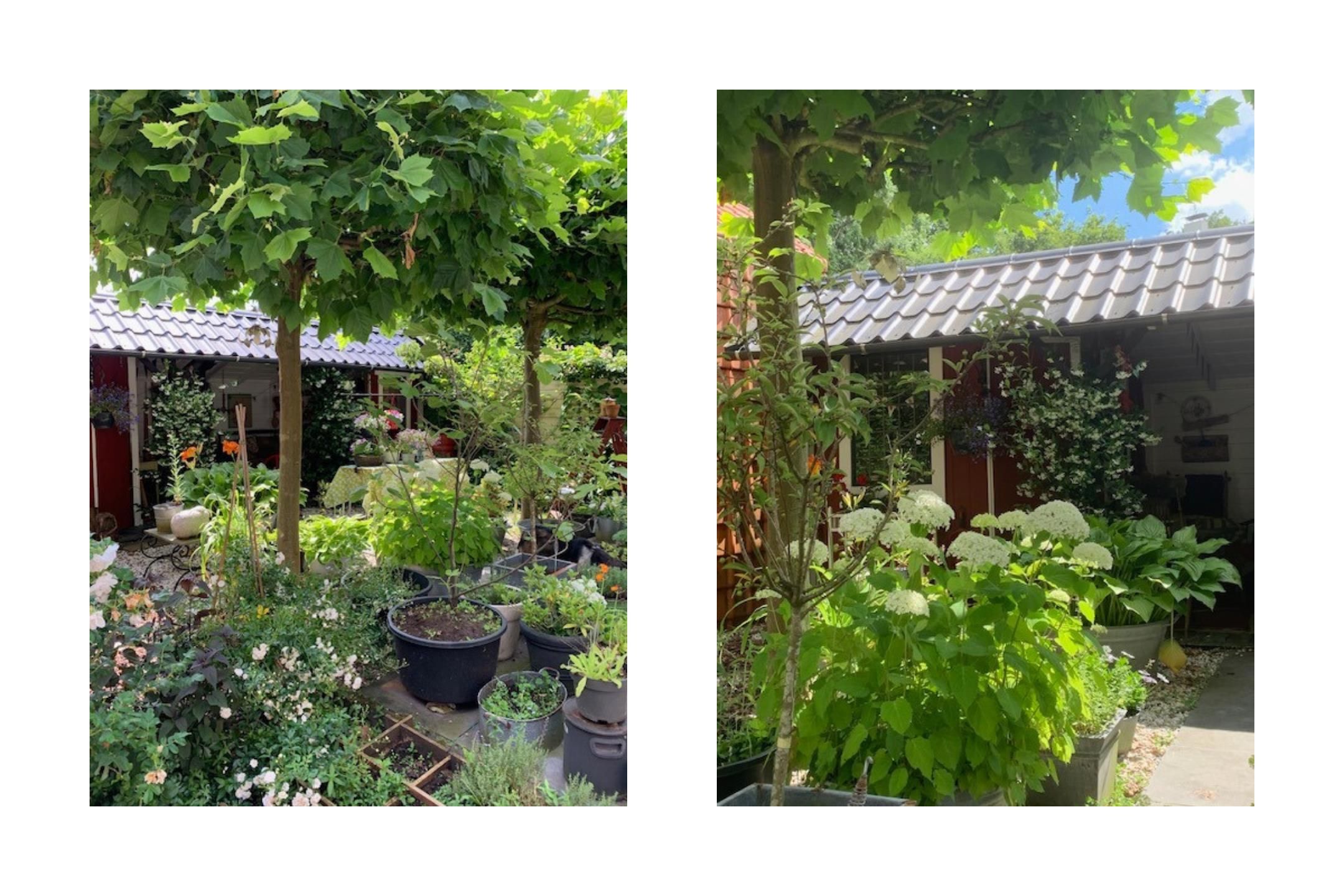 Foto 60 van Melvill van Carnbeelaan 2