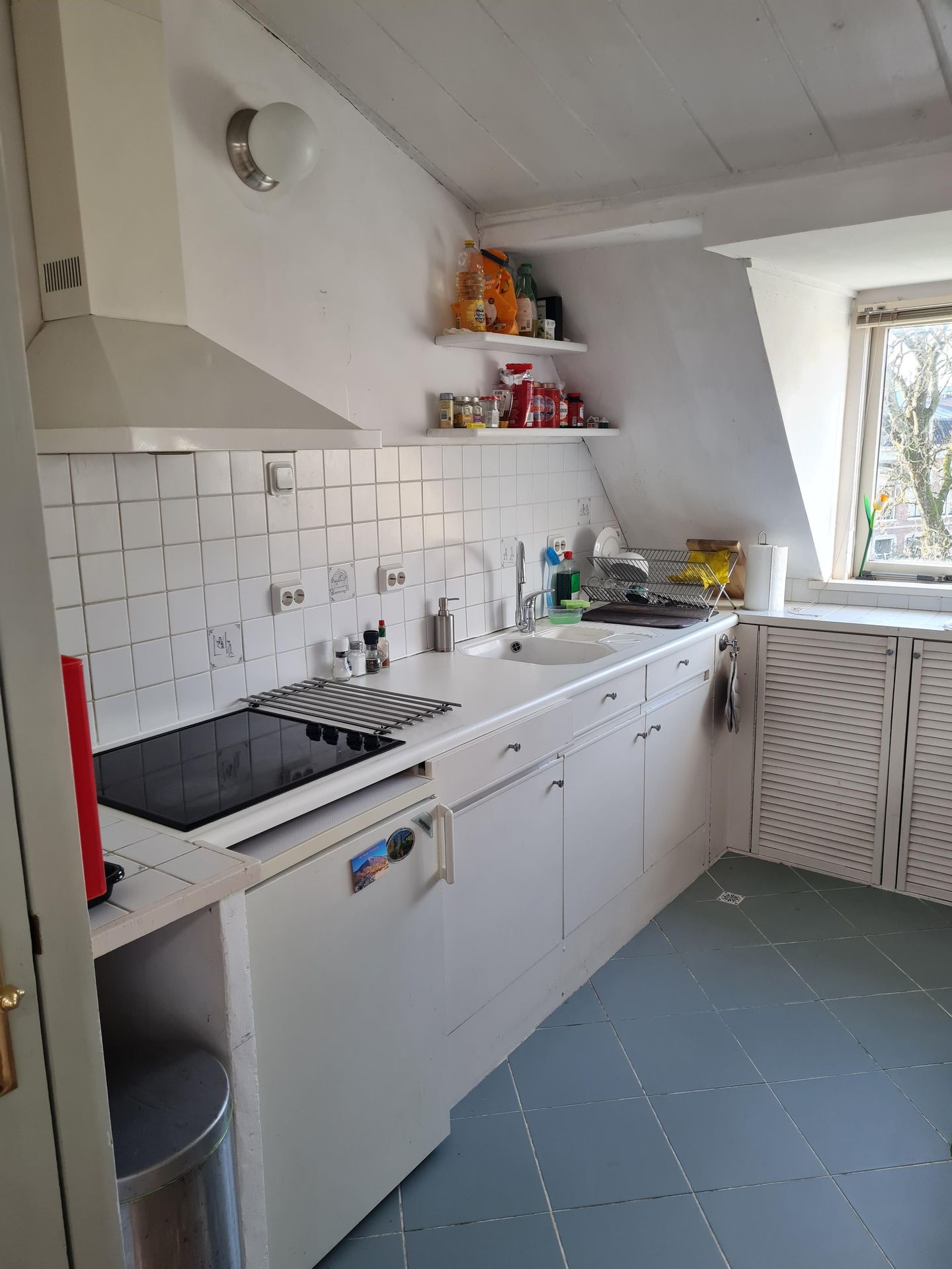 Foto 40 van Ripperdapark 33