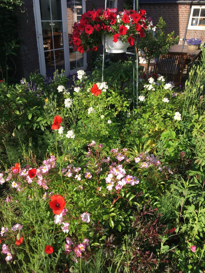 Foto 51 van Heuvelstraat 30