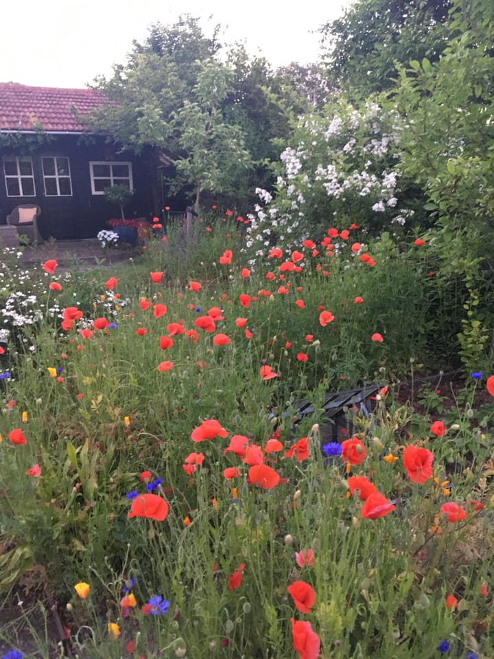 Foto 52 van Heuvelstraat 30