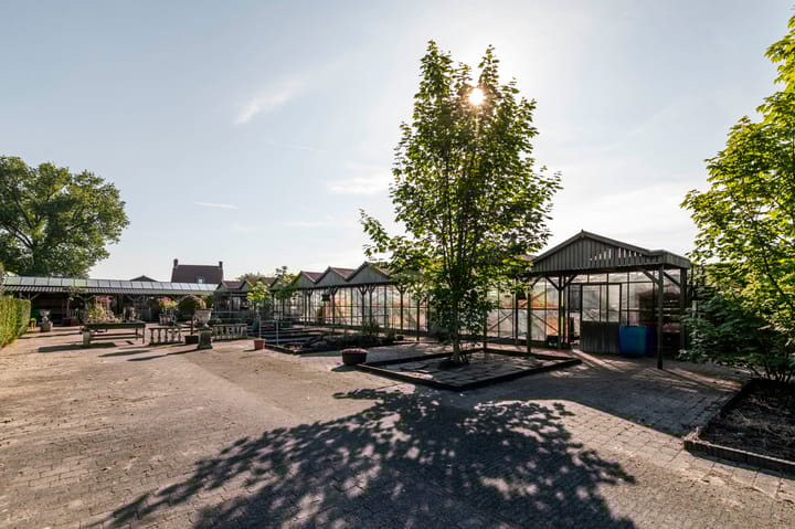 Foto 2 van Groenedijk 3