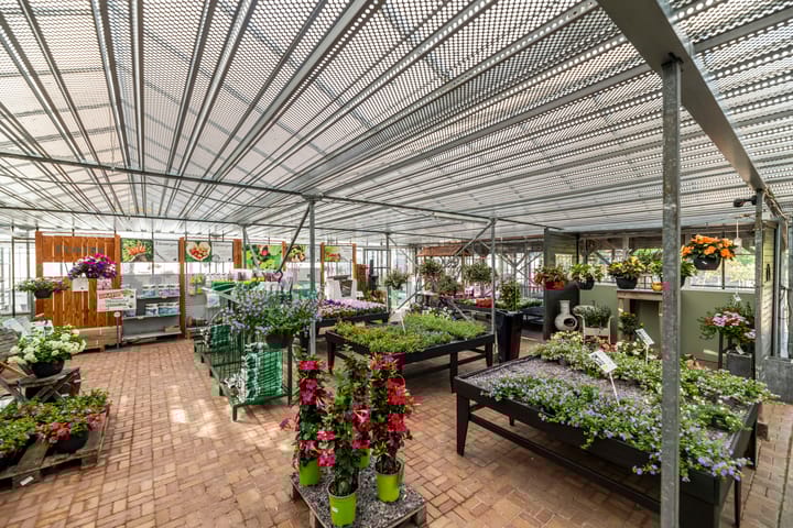 Foto 15 van Groenedijk 3