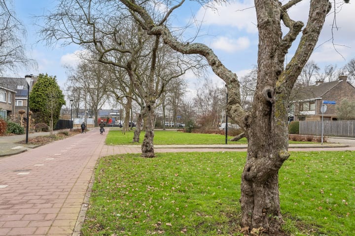 Foto 36 van Willem Frederikstraat 65