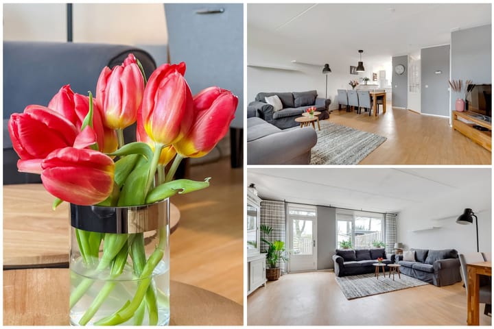 Foto 5 van Citroenvlinder 17