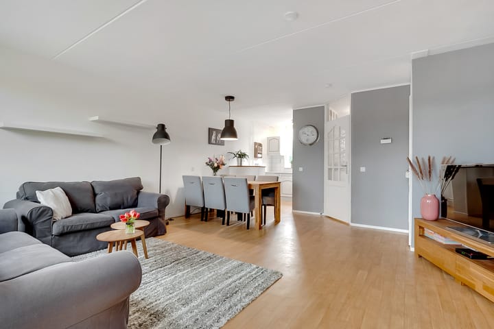 Foto 6 van Citroenvlinder 17