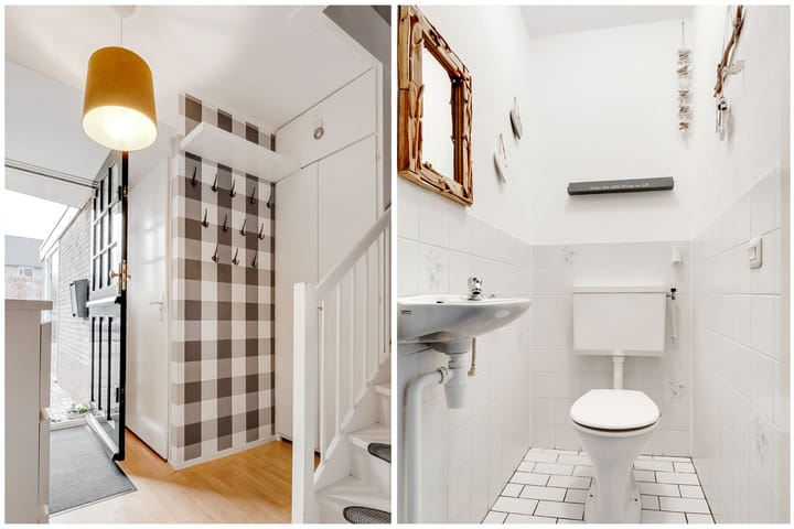 Foto 13 van Citroenvlinder 17