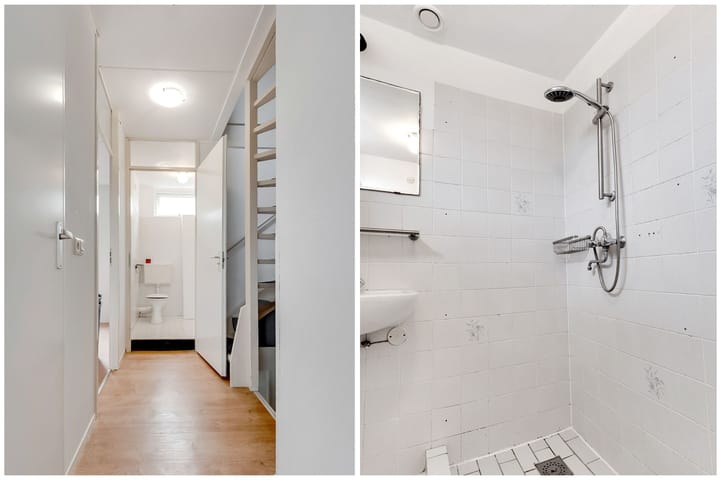 Foto 18 van Citroenvlinder 17