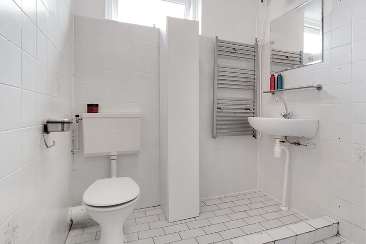 Foto 19 van Citroenvlinder 17