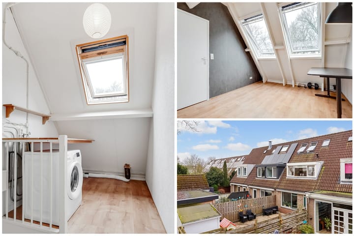 Foto 22 van Citroenvlinder 17