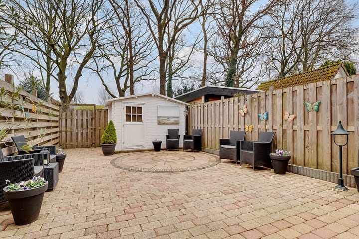 Foto 26 van Citroenvlinder 17