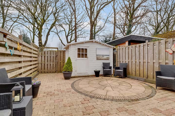 Foto 27 van Citroenvlinder 17