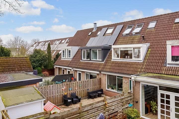 Foto 28 van Citroenvlinder 17