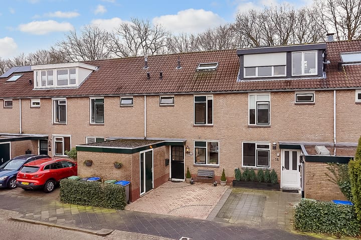 Foto 29 van Citroenvlinder 17