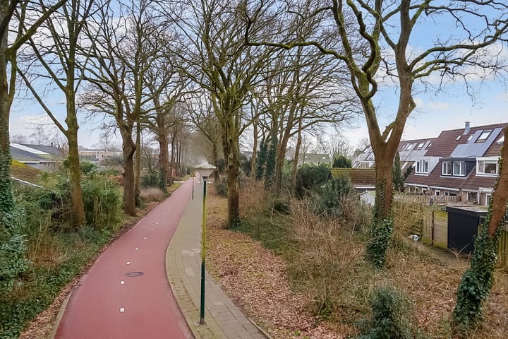 Foto 30 van Citroenvlinder 17