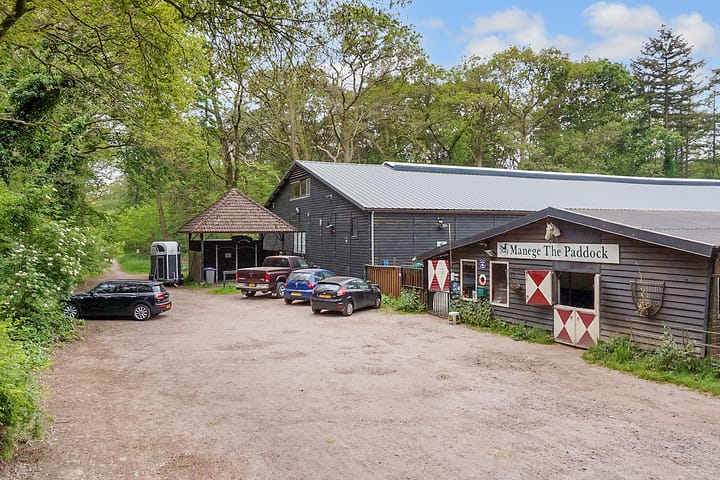 Foto 32 van Citroenvlinder 17