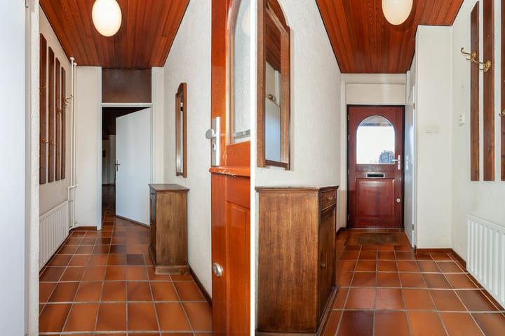 Foto 2 van Fluitekruid 34