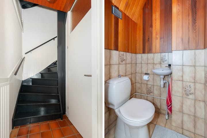 Foto 11 van Fluitekruid 34