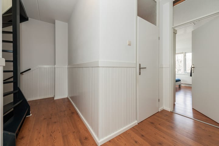 Foto 12 van Fluitekruid 34