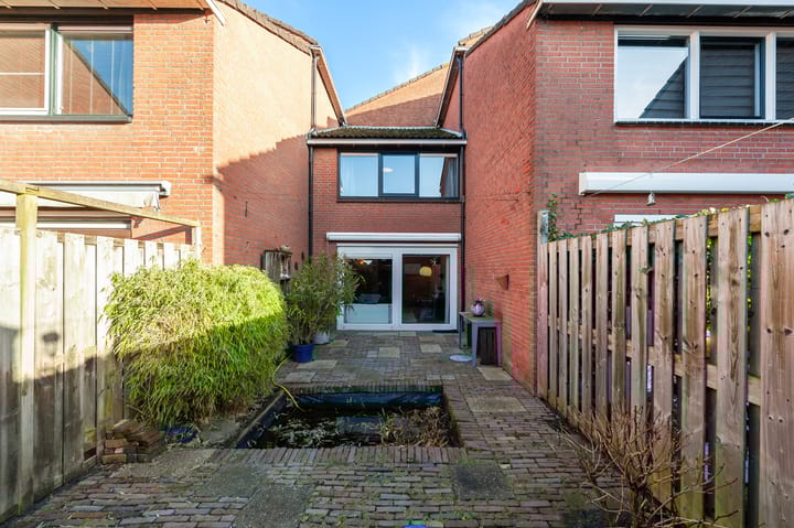 Foto 23 van Fluitekruid 34