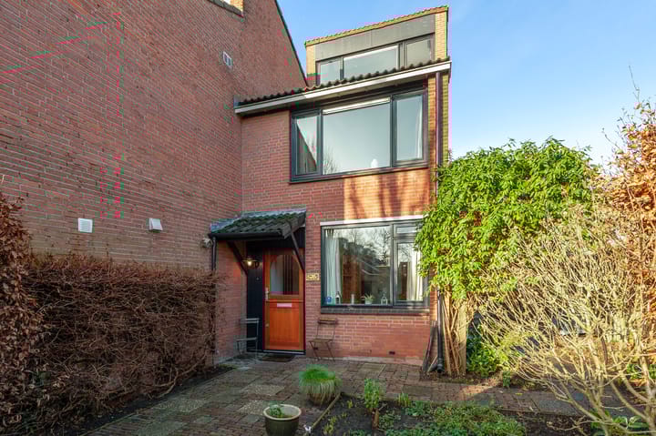 Foto 25 van Fluitekruid 34