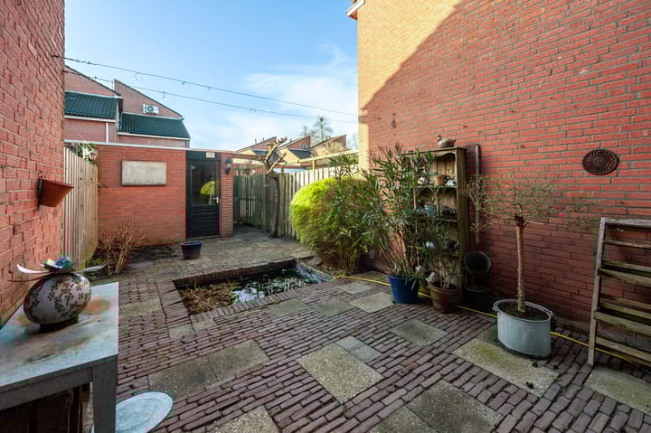 Foto 26 van Fluitekruid 34