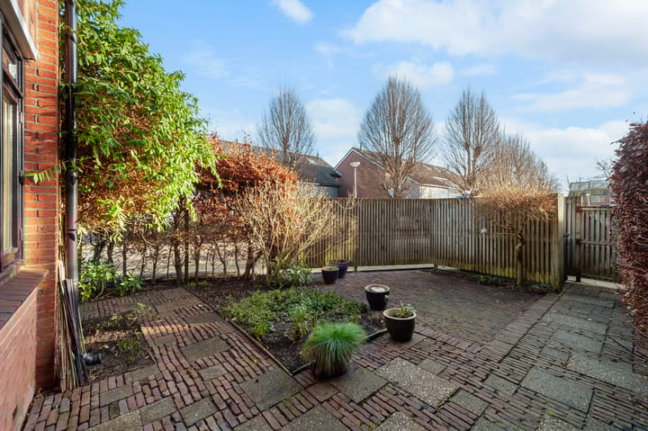 Foto 27 van Fluitekruid 34