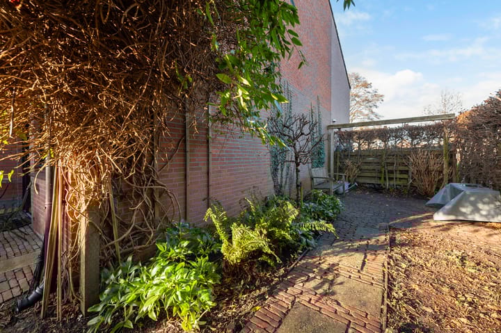 Foto 28 van Fluitekruid 34