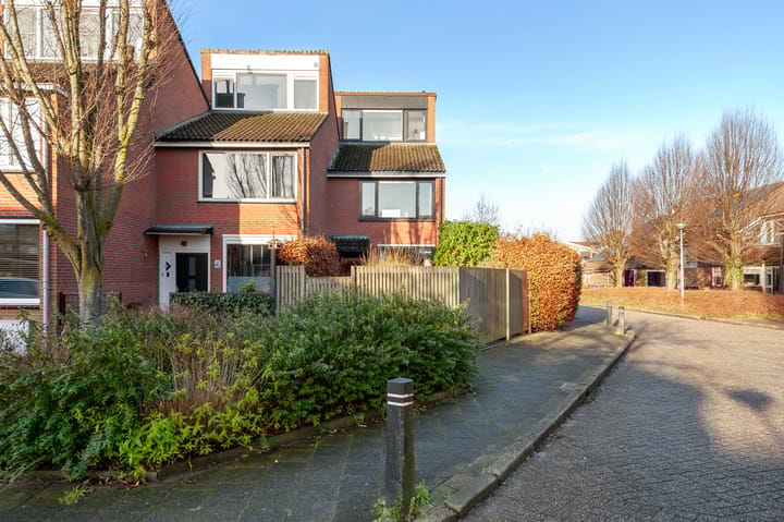 Foto 30 van Fluitekruid 34