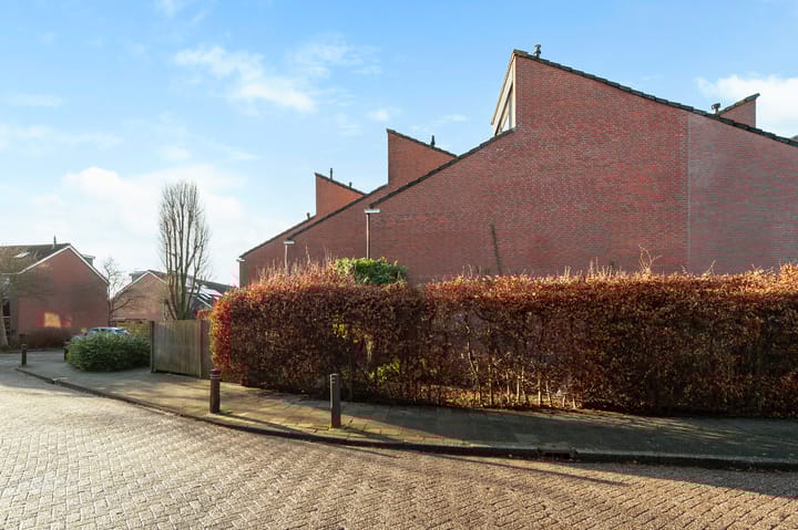 Foto 31 van Fluitekruid 34