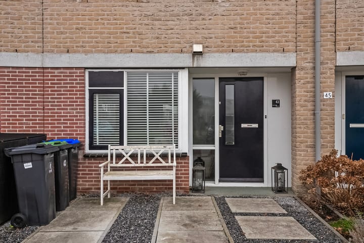 Foto 1 van Hertshoornvaren 43