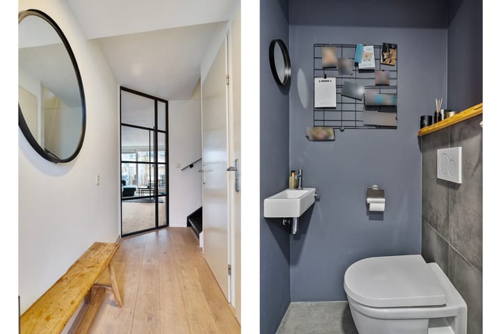 Foto 5 van Hertshoornvaren 43