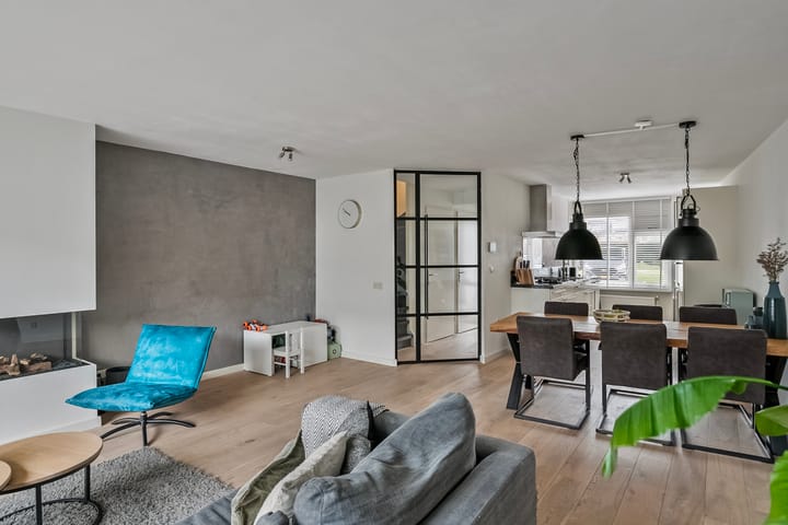 Foto 7 van Hertshoornvaren 43