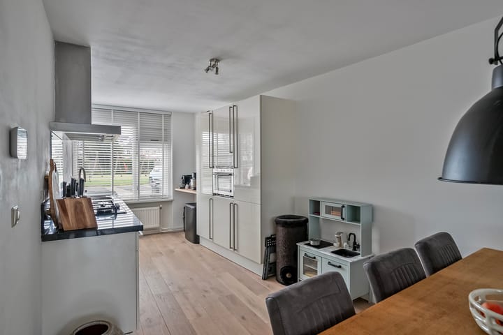 Foto 8 van Hertshoornvaren 43