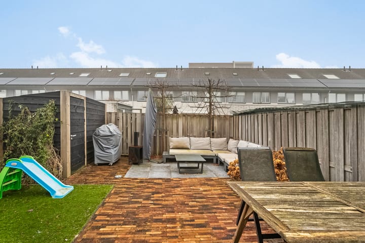 Foto 12 van Hertshoornvaren 43