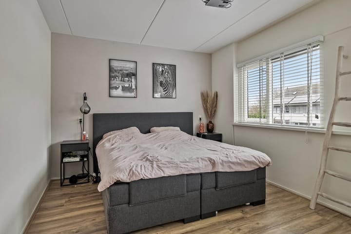 Foto 16 van Hertshoornvaren 43