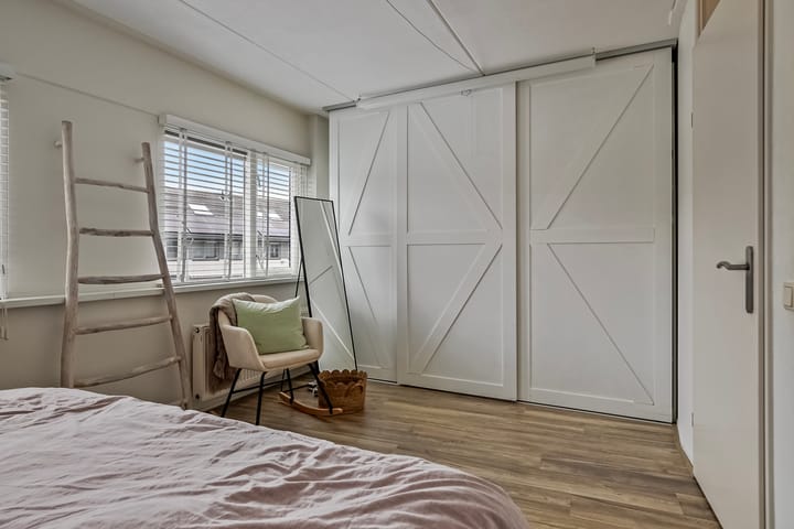 Foto 17 van Hertshoornvaren 43