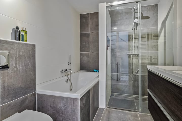 Foto 18 van Hertshoornvaren 43