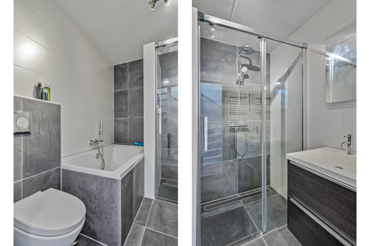 Foto 19 van Hertshoornvaren 43