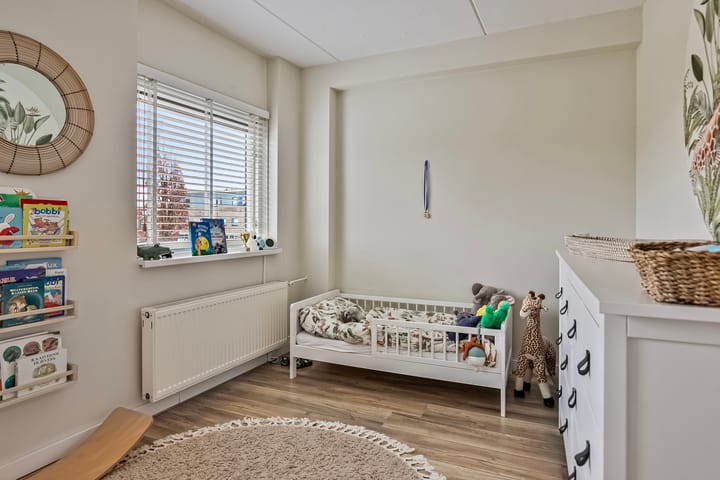 Foto 20 van Hertshoornvaren 43