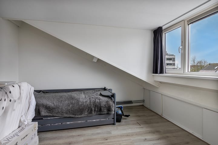 Foto 22 van Hertshoornvaren 43